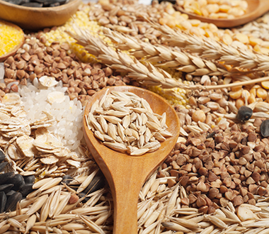 Food Trends: What's Hot Right Now?